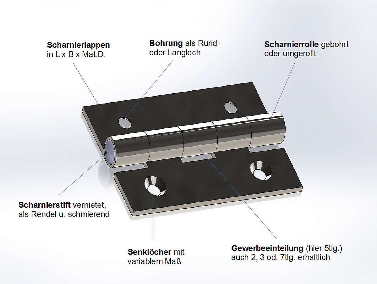 Central technical terms and common names for the classification of the hinge types
